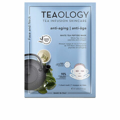 Veido kaukė Teaology, 21 ml цена и информация | Маски для лица, патчи для глаз | pigu.lt