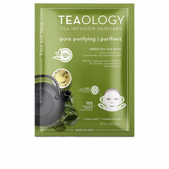 Veido kaukė Teaology Green Tea, 21 ml цена и информация | Маски для лица, патчи для глаз | pigu.lt