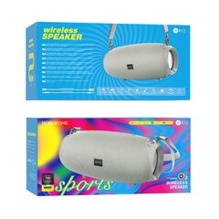 Borofone Portable Bluetooth Speaker BR12 Amplio grey цена и информация | Аудиоколонки | pigu.lt