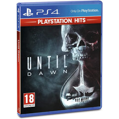 Until Down RUS/ENG, PS4 kaina ir informacija | Kompiuteriniai žaidimai | pigu.lt