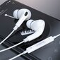 Borofone Earphones BM80 Pro Elegant цена и информация | Ausinės | pigu.lt