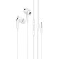 Borofone Earphones BM80 Pro Elegant kaina ir informacija | Ausinės | pigu.lt