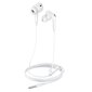 Borofone Earphones BM80 Pro Elegant kaina ir informacija | Ausinės | pigu.lt