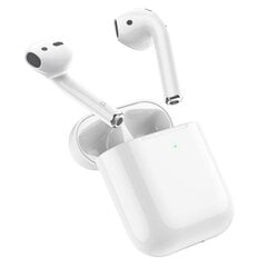 Borofone TWS Bluetooth Earphones BW31 White цена и информация | Теплая повязка на уши, черная | pigu.lt