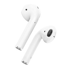 Borofone TWS Bluetooth Earphones BW31 White цена и информация | Теплая повязка на уши, черная | pigu.lt