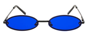 Женские солнцезащитные очки синего цвета цена и информация | Женские солнцезащитные очки | pigu.lt