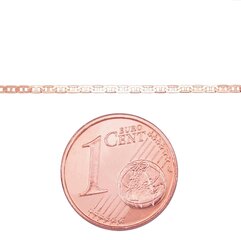 Цепочка из золота 585° 3 мм, 50 см, 4.63 г цена и информация | Украшения на шею | pigu.lt