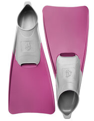 Plaukmenys MadWave Pool Colour Long Swim Fins, 40/41 kaina ir informacija | Plaukimo plaštakos | pigu.lt