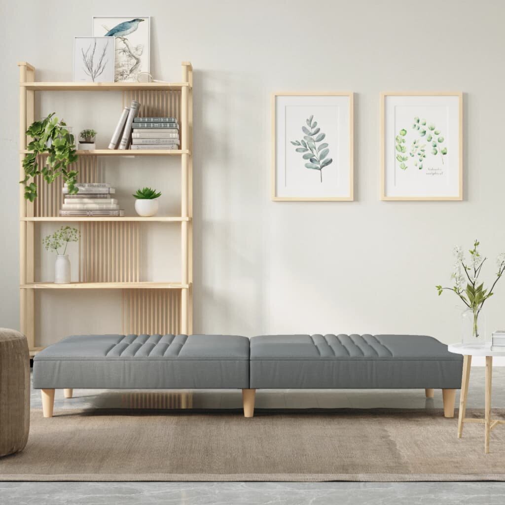 Dvivietė sofa-lova vidaXL, šviesiai pilka kaina ir informacija | Sofos | pigu.lt