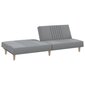 Dvivietė sofa-lova vidaXL, šviesiai pilka kaina ir informacija | Sofos | pigu.lt