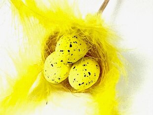 Velykų dekoracijos 3 kiaušiniai lizde, geltona kaina ir informacija | Dekoracijos šventėms | pigu.lt