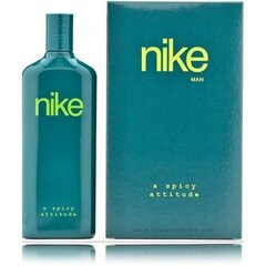 Tualetinis vanduo Nike A Spicy Attitude EDT vyrams, 150 ml цена и информация | Мужские духи | pigu.lt