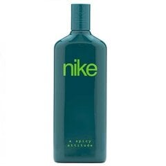 Tualetinis vanduo Nike A Spicy Attitude EDT vyrams, 150 ml kaina ir informacija | Kvepalai vyrams | pigu.lt