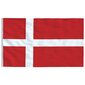 VidaXL Danijos vėliava su stiebu, 5,55 m kaina ir informacija | Vėliavos ir jų priedai | pigu.lt