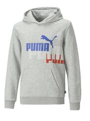 Детская толстовка PUMA Ess Logo Power Light Gray 234236661 цена и информация | Свитеры, жилетки, пиджаки для мальчиков | pigu.lt