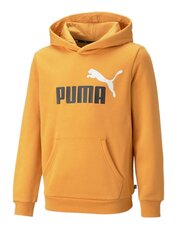 Puma džemperis berniukams Desert kaina ir informacija | Megztiniai, bluzonai, švarkai berniukams | pigu.lt