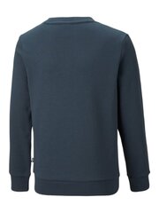 Puma džemperis berniukams Dark Night kaina ir informacija | Megztiniai, bluzonai, švarkai berniukams | pigu.lt
