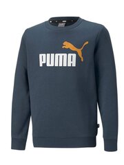 Puma džemperis berniukams Dark Night kaina ir informacija | Megztiniai, bluzonai, švarkai berniukams | pigu.lt