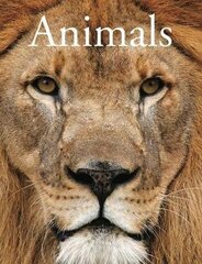Animals kaina ir informacija | Knygos apie sveiką gyvenseną ir mitybą | pigu.lt