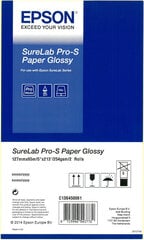 Blizgus popierius Epson SureLab Pro-S5 C13S450061BP цена и информация | Kanceliarinės prekės | pigu.lt