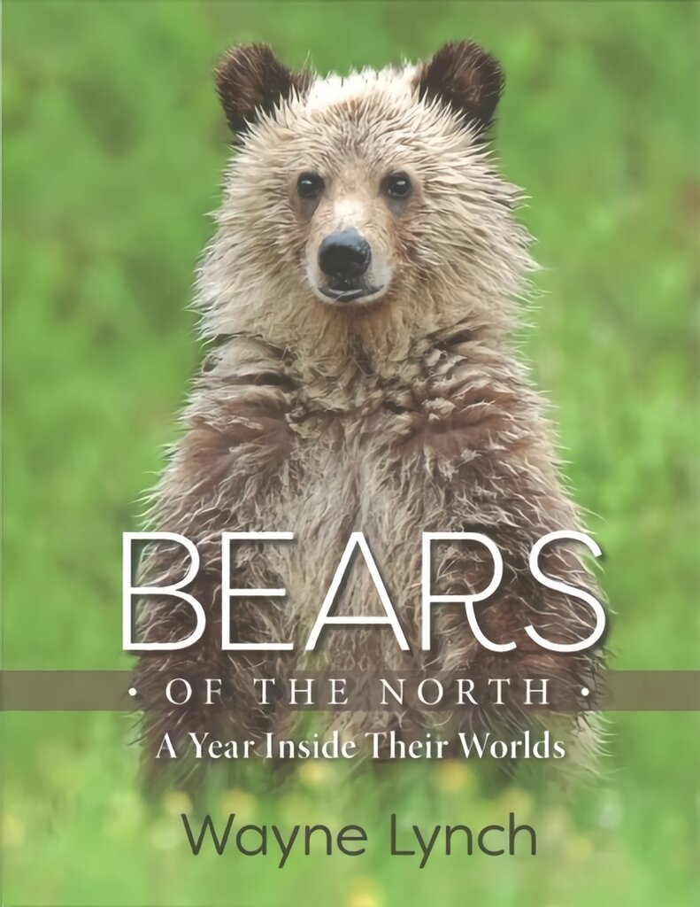 Bears of the North: A Year Inside Their Worlds цена и информация | Knygos apie sveiką gyvenseną ir mitybą | pigu.lt