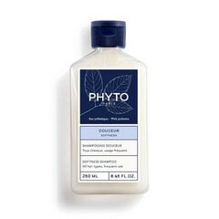 Šampūnas Phyto Softness Shampoo, 250 ml цена и информация | Шампуни | pigu.lt