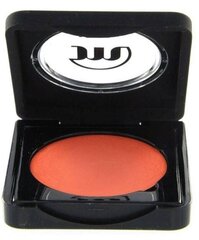 Maskuojamoji priemonė Make Up Studio Orange, 4 ml kaina ir informacija | Makiažo pagrindai, pudros | pigu.lt