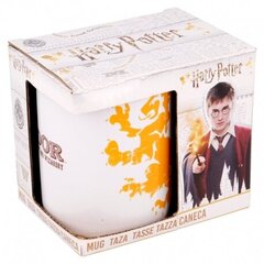Harry Potter Gryffindor, 325 ml kaina ir informacija | Žaidėjų atributika | pigu.lt