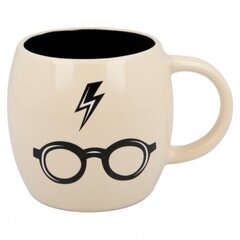 Harry Potter, 380 ml kaina ir informacija | Žaidėjų atributika | pigu.lt