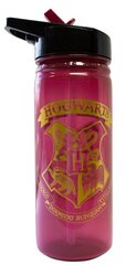 Бутылка для воды Гарри Поттер 600мл цена и информация | Атрибутика для игроков | pigu.lt