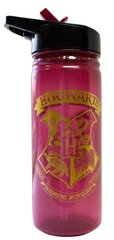 Harry Potter 600ml цена и информация | Атрибутика для игроков | pigu.lt