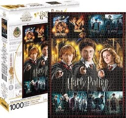 Dėlionė Harry Potter, 1000 dal. kaina ir informacija | Dėlionės (puzzle) | pigu.lt