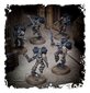 Chaos Space Marines Raptors kaina ir informacija | Klijuojami modeliai | pigu.lt