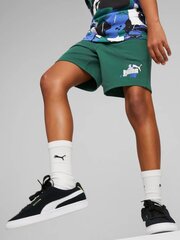 Спортивные шорты PUMA Ess Street Art Green 234236679 цена и информация | Шорты для мальчиков | pigu.lt