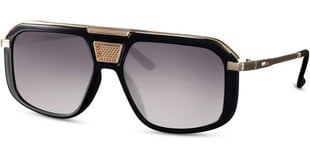 Солнцезащитные очки Label L5555 цена и информация | Солнцезащитные очки для мужчин | pigu.lt