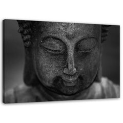 Печать холста, глава медитирующего Будды 59,99 цена и информация | Репродукции, картины | pigu.lt