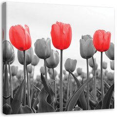 Paveikslas Raudonos tulpės pievoje kaina ir informacija | Reprodukcijos, paveikslai | pigu.lt