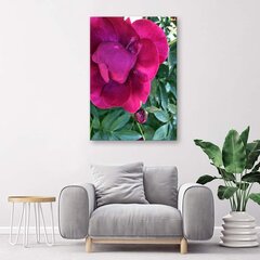 Reprodukcija Didelė rožinė gėlė kaina ir informacija | Reprodukcijos, paveikslai | pigu.lt