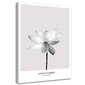 Reprodukcija Balta lotos gėlė kaina ir informacija | Reprodukcijos, paveikslai | pigu.lt