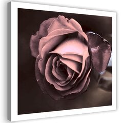 Paveikslas Graži rožė kaina ir informacija | Reprodukcijos, paveikslai | pigu.lt