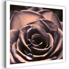 Reprodukcija Vandens lašai ant rožės kaina ir informacija | Reprodukcijos, paveikslai | pigu.lt