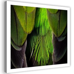 Печать холста, зеленые перья из лайма 29,99 цена и информация | Репродукции, картины | pigu.lt