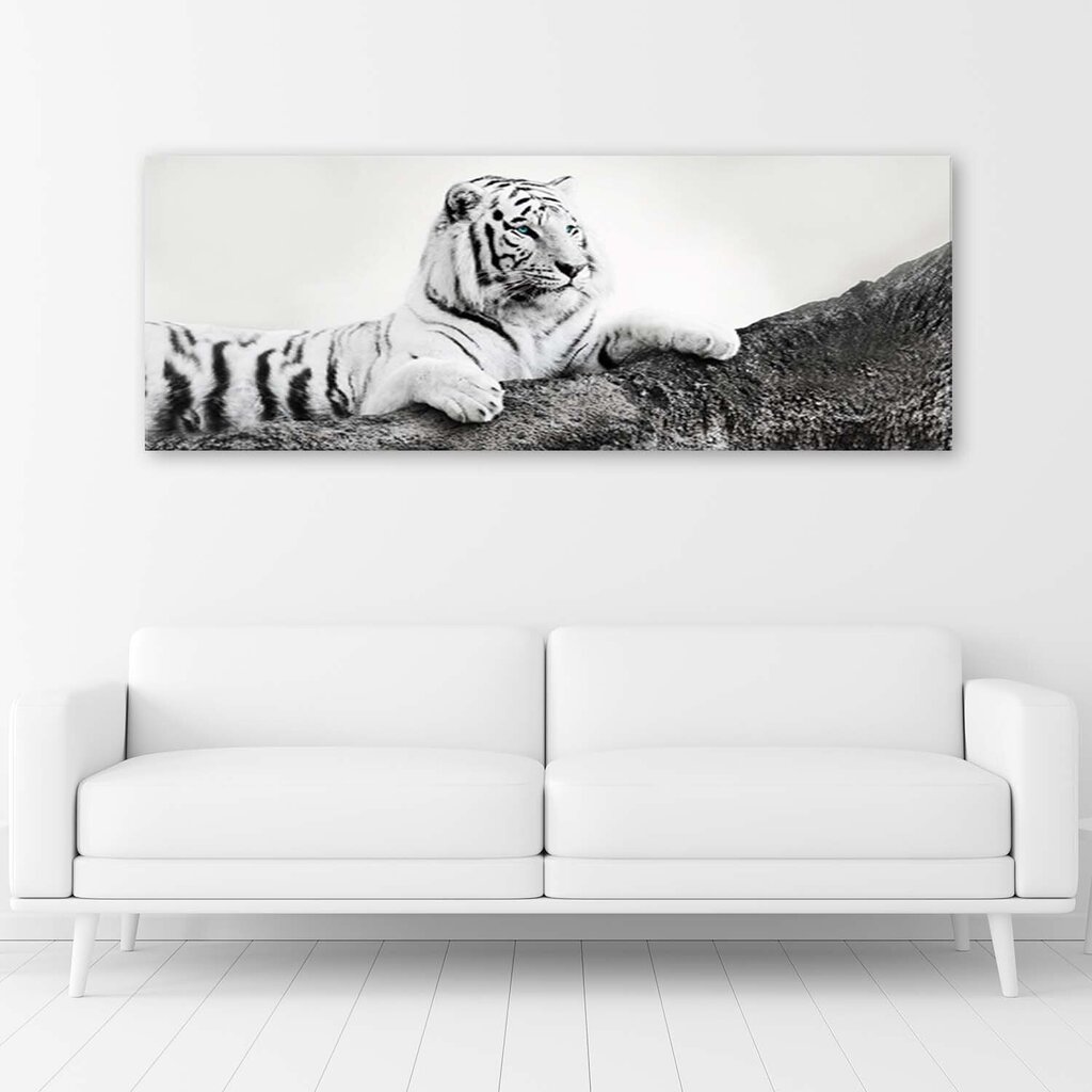 Reprodukcija Budrus tigras kaina ir informacija | Reprodukcijos, paveikslai | pigu.lt