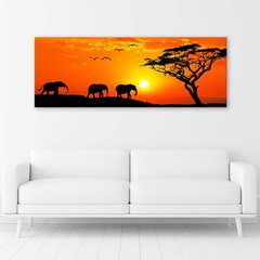 Репродукция африканская саванна панорама цена и информация | Репродукции, картины | pigu.lt