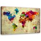 Reprodukcija Spalvotas pasaulio žemėlapis kaina ir informacija | Reprodukcijos, paveikslai | pigu.lt