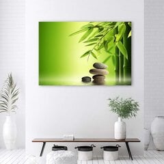 Репродукция камни дзен и бамбук на зеленом фоне цена и информация | Репродукции, картины | pigu.lt