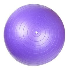 MASTER Super Ball gimnastikos kamuolys 55 cm su pompa kaina ir informacija | Kitos fitneso prekės | pigu.lt