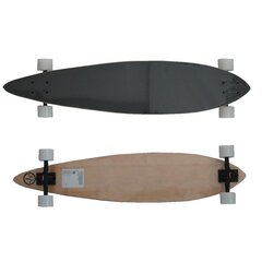 Скейтборд Longboard Master 41 Maple 104 см цена и информация | Скейтборды | pigu.lt