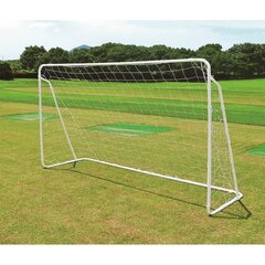 Futbolo vartai Master Goal, 290x165 cm цена и информация | Футбольные ворота и сетки | pigu.lt