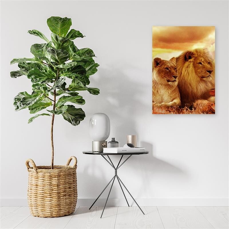 Paveikslas Liūtas karalius ir liūtas kaina ir informacija | Reprodukcijos, paveikslai | pigu.lt